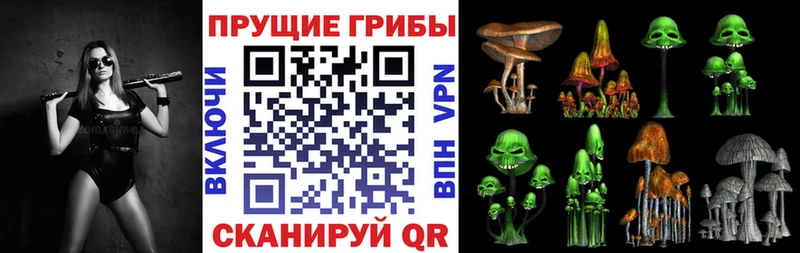 Купить  Лесосибирск  Псилоцибиновые грибы прущие грибы 